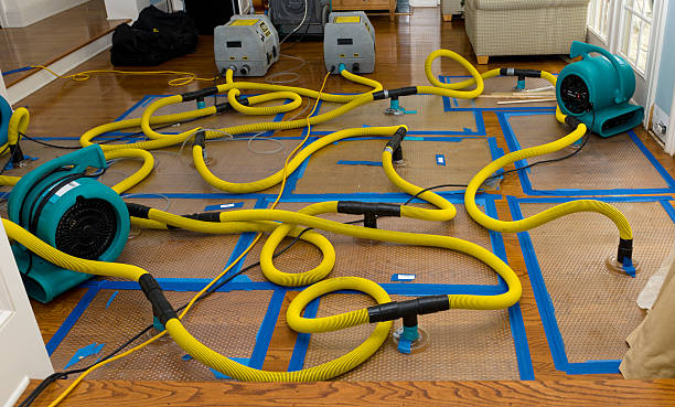 Professional Crawl Space Water Removal technician working in Long Beach, WA